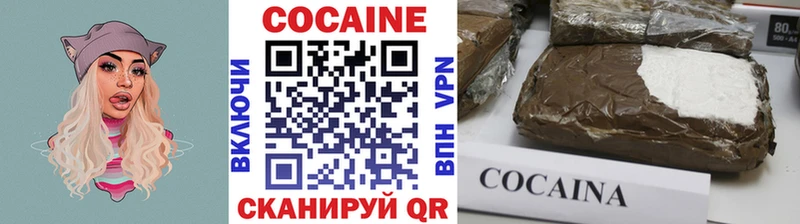 Купить  Губкин  Cocaine FishScale 