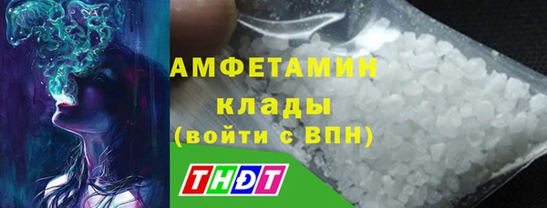 ГАЛЛЮЦИНОГЕННЫЕ ГРИБЫ Карталы