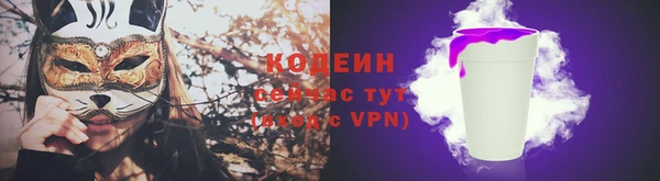 ГАЛЛЮЦИНОГЕННЫЕ ГРИБЫ Карталы