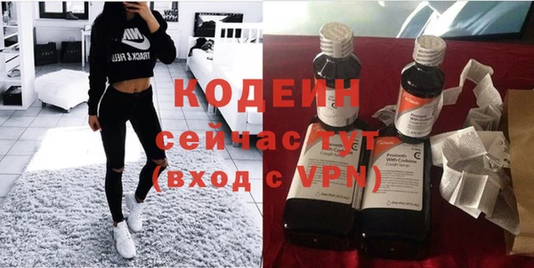 ГАЛЛЮЦИНОГЕННЫЕ ГРИБЫ Карталы