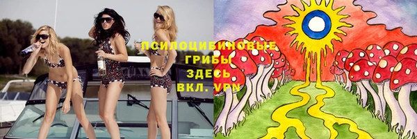 ГАЛЛЮЦИНОГЕННЫЕ ГРИБЫ Карталы