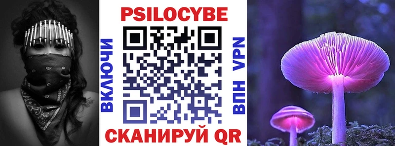 Галлюциногенные грибы Psilocybine cubensis  Купить  Губкин 